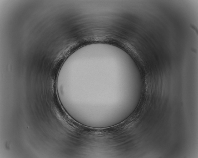 X0000103500542200809121014