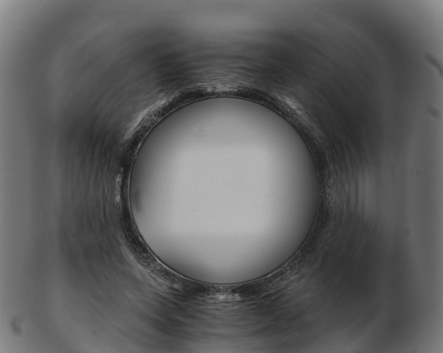 X0000103500543200809121014