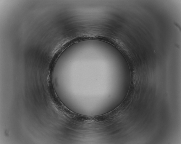X0000103500544200809121014