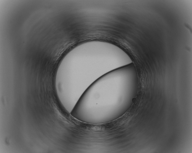 X0000103500546200809121014