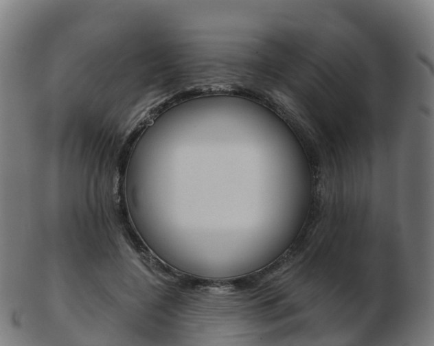 X0000103500548200809121014