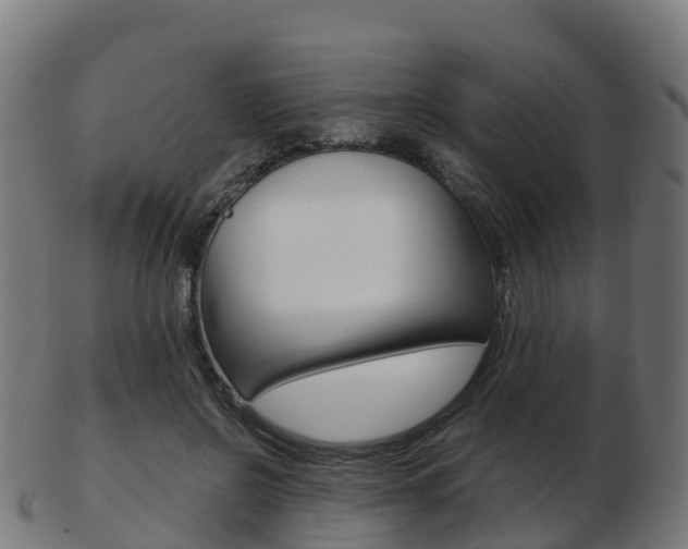 X0000103500550200809121014