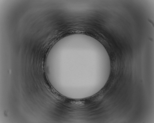X0000103500553200809121014