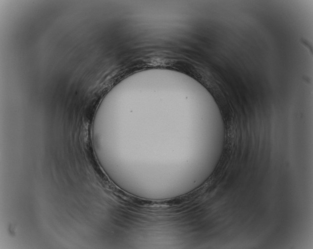 X0000103500554200809121015