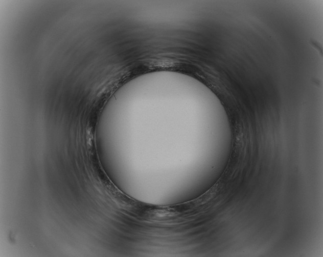 X0000103500555200809121015