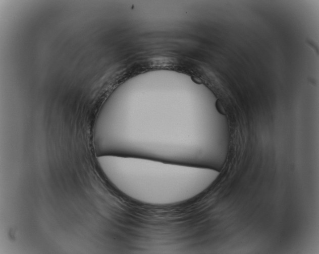 X0000103500557200809121015
