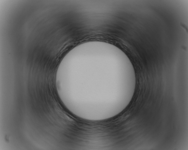 X0000103500558200809121015