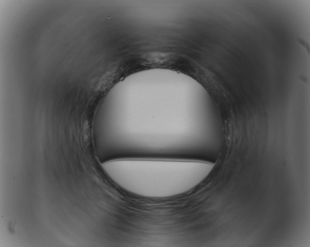 X0000103500563200809121015