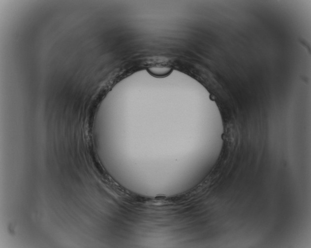 X0000103500564200809121015