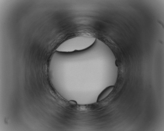 X0000103500565200809121015