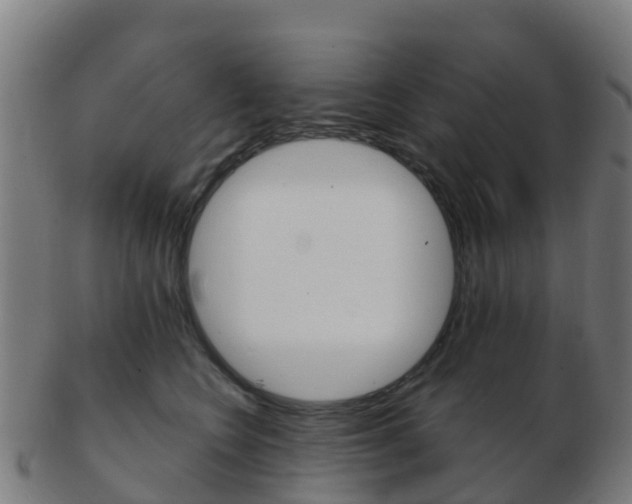 X0000103500566200809121015
