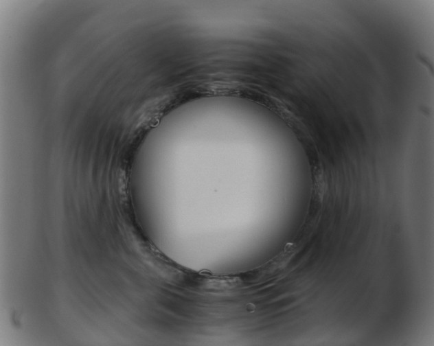 X0000103500571200809121015