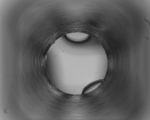 X0000103500574200809121015
