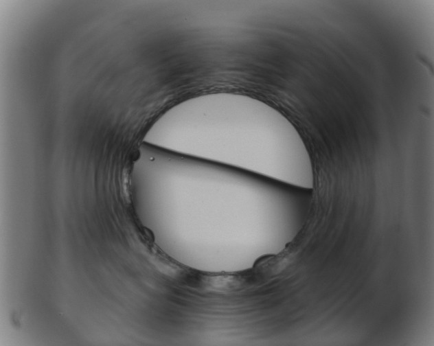X0000103500575200809121015