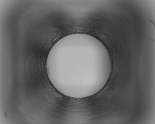 X0000103500576200809121015