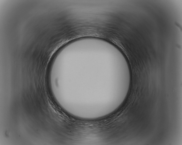X0000103500579200809121014