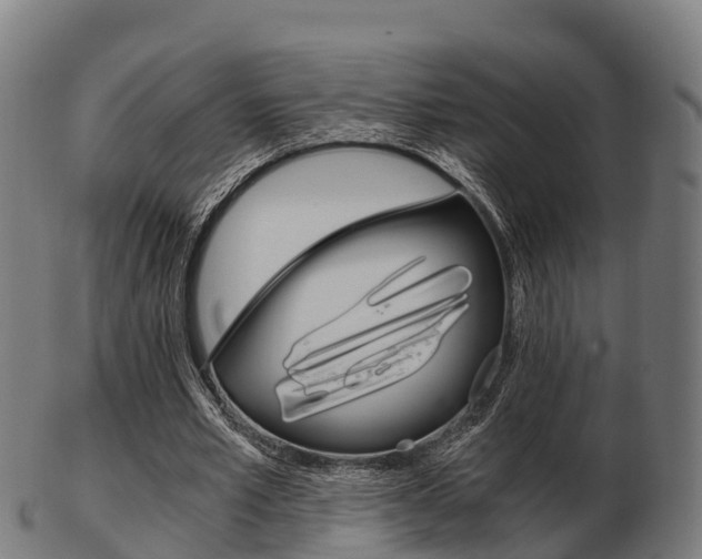 X0000103500581200809121014