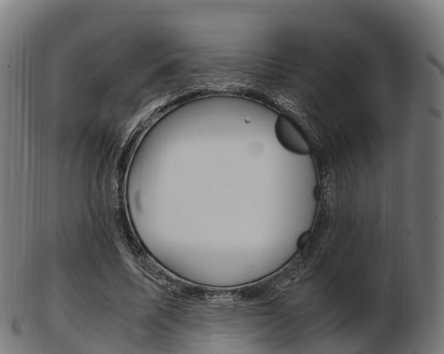 X0000103500587200809121014