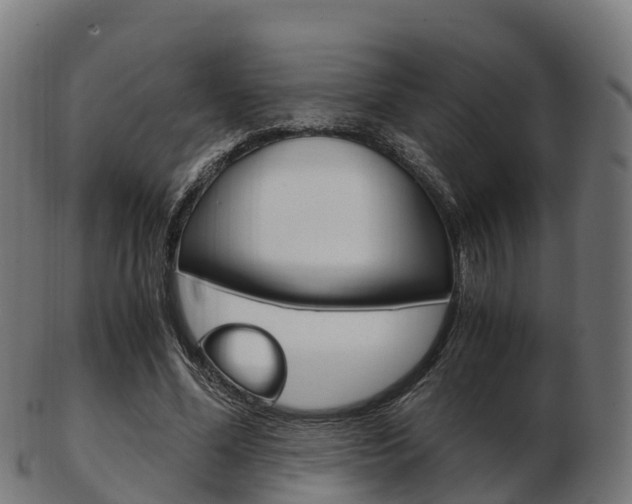 X0000103500588200809121014