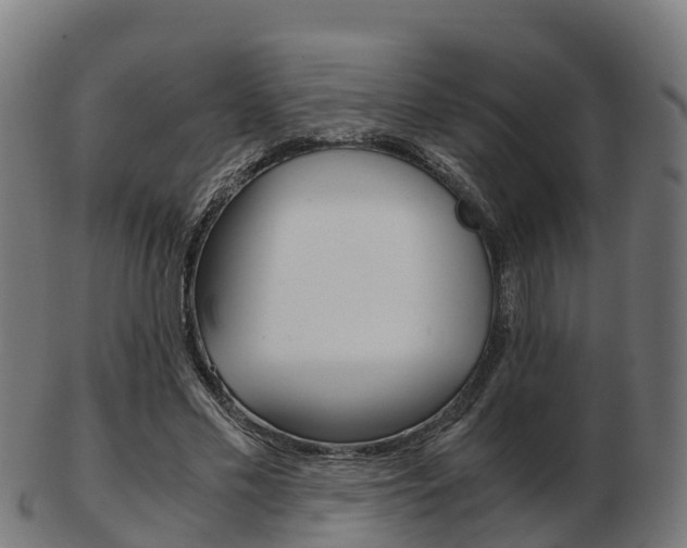 X0000103500589200809121014