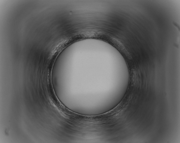 X0000103500590200809121014