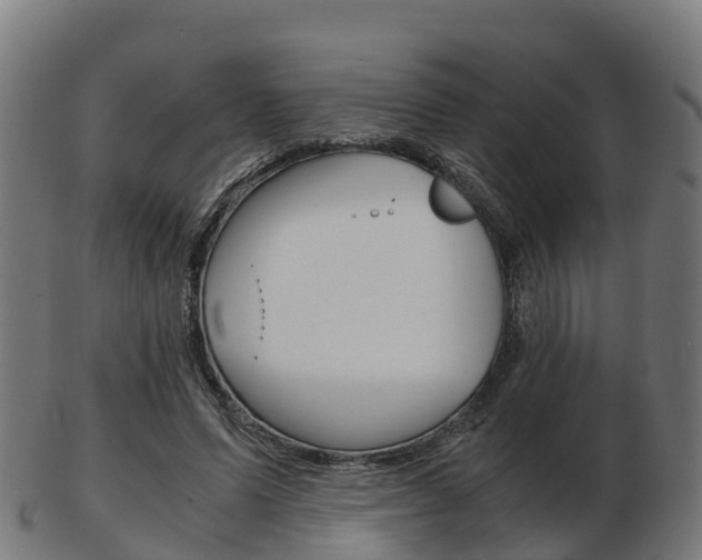 X0000103500591200809121014