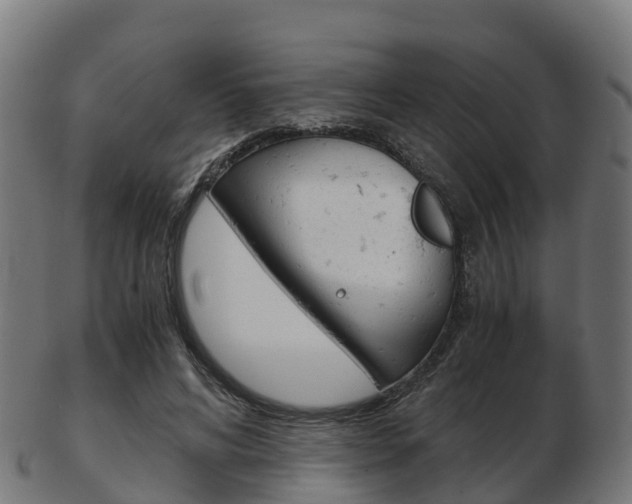 X0000103500592200809121014