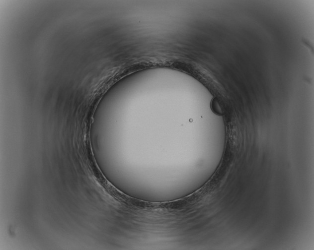 X0000103500593200809121014