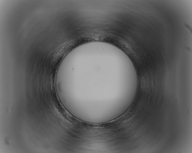 X0000103500594200809121014