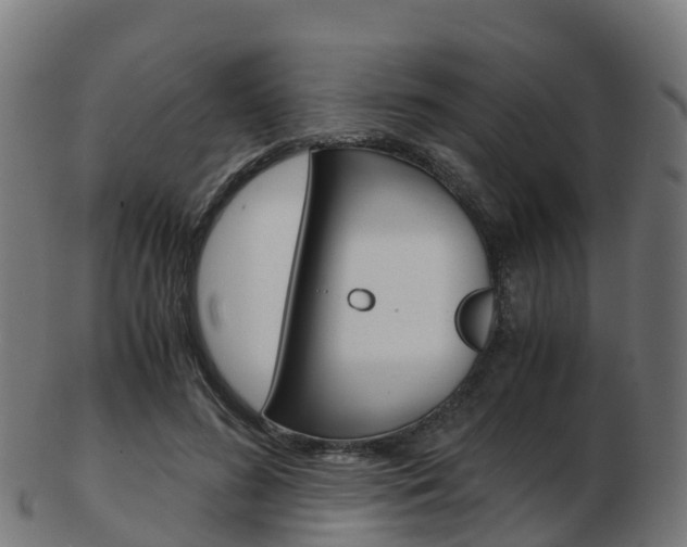 X0000103500596200809121014