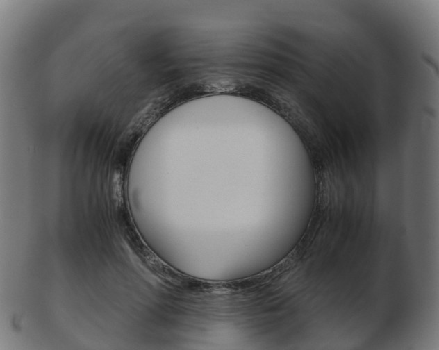 X0000103500598200809121014