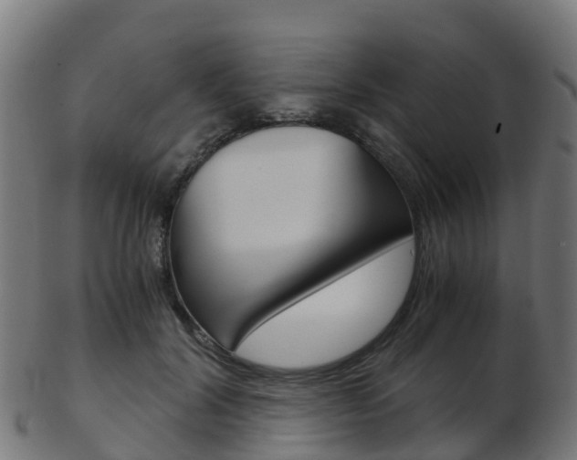 X0000103500604200809121014