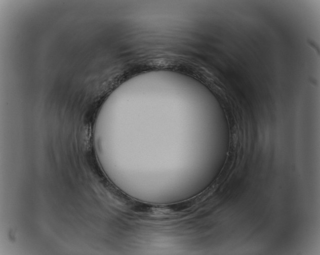 X0000103500605200809121014