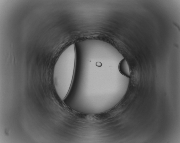 X0000103500608200809121014