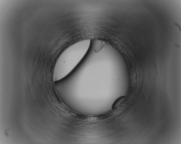 X0000103500609200809121014