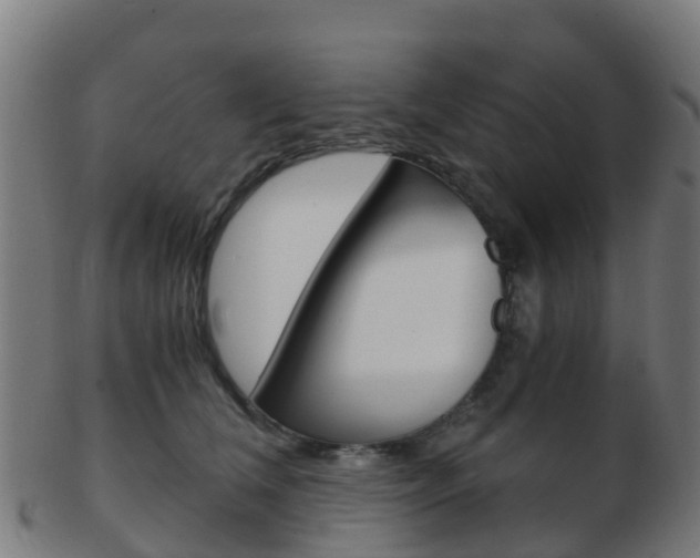 X0000103500612200809121013