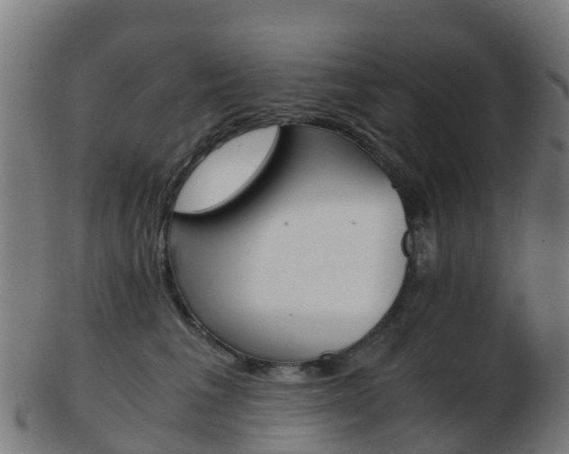 X0000103500613200809121013