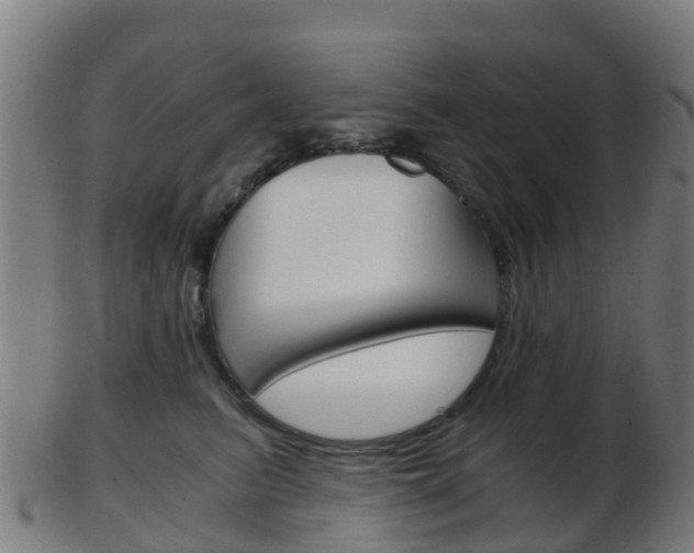 X0000103500615200809121013