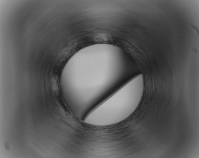 X0000103500616200809121013