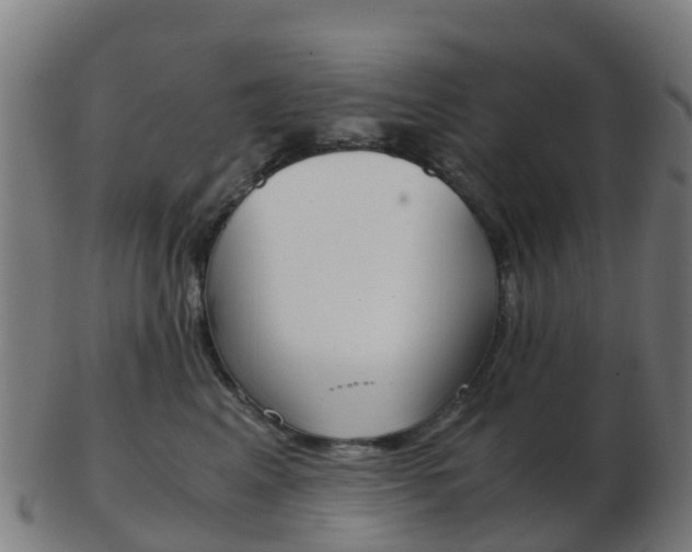 X0000103500617200809121013