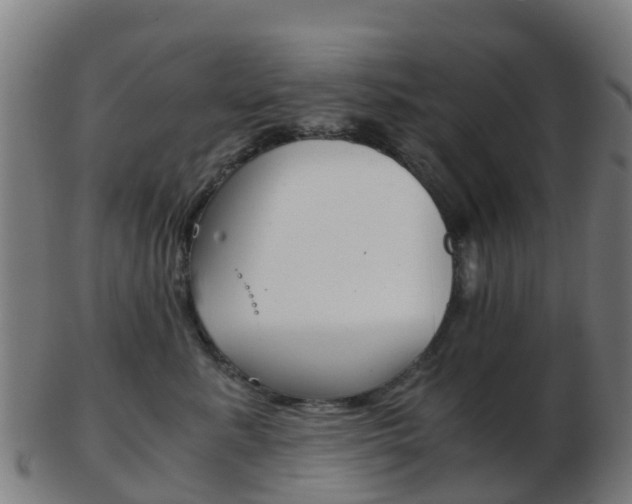 X0000103500619200809121013