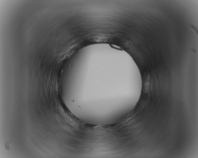 X0000103500620200809121013