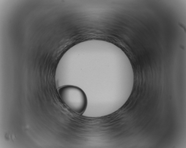 X0000103500621200809121013