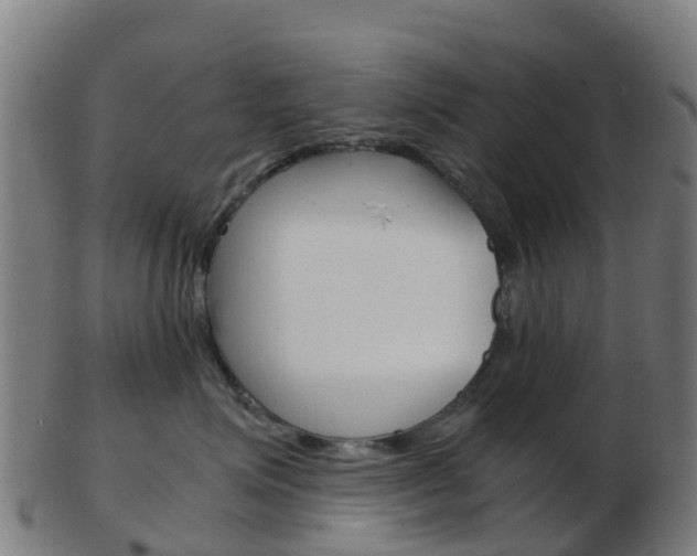 X0000103500623200809121013