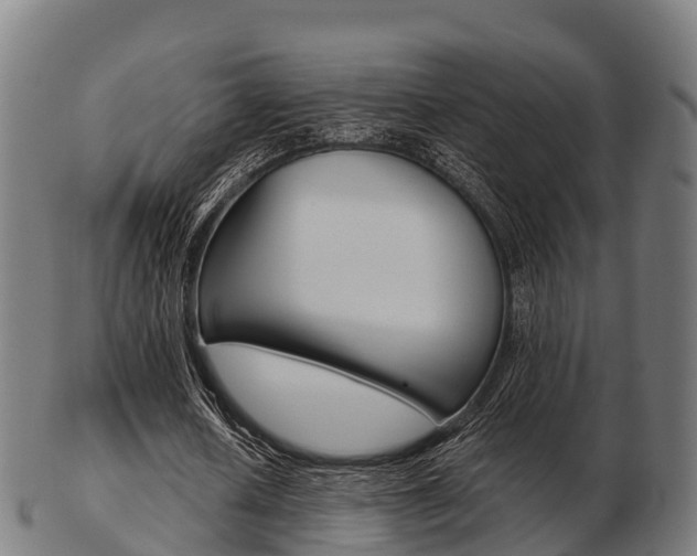 X0000103500626200809121013