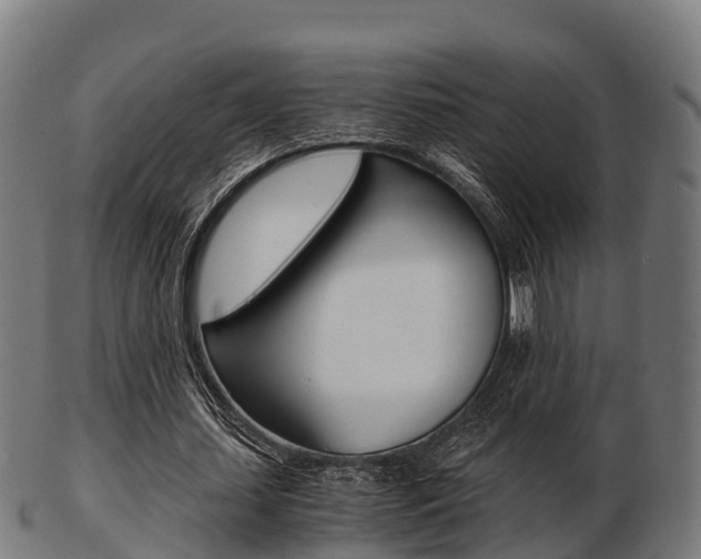 X0000103500627200809121013