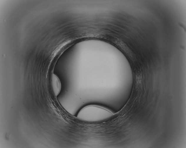 X0000103500628200809121013