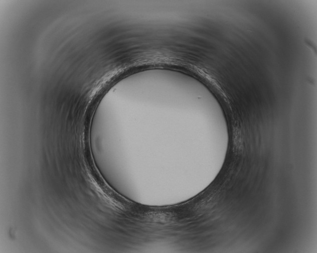 X0000103500629200809121013