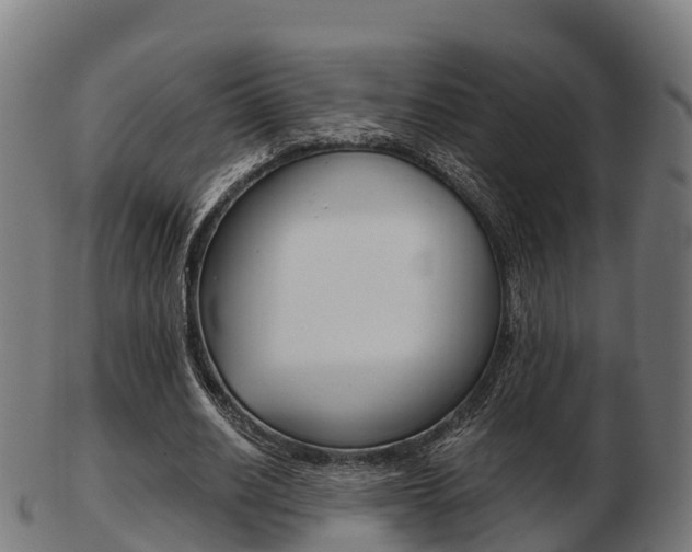 X0000103500630200809121013