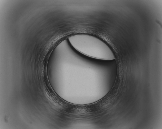 X0000103500631200809121013